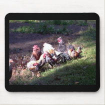 The Rooster Gang mousepads