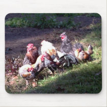 The Rooster Gang mousepads