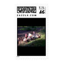 The Rooster Gang stamp