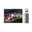 The Rooster Gang stamp