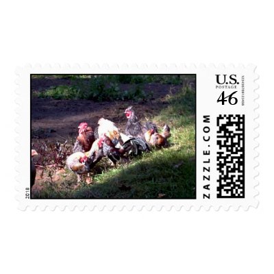 The Rooster Gang Stamp by eelkat