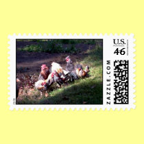 The Rooster Gang postage