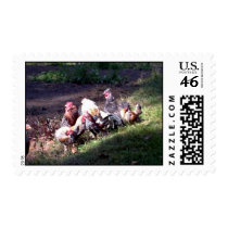 The Rooster Gang Stamp