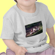 The Rooster Gang t-shirts