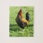 The Rooster Puzzles