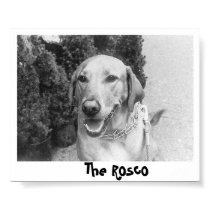 The Rosco posters by PuppiePlaywear The Rosco posters