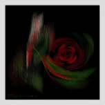the Rose  004   Art Print