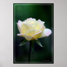The Rose 2 - Customized Poster