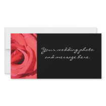The Rose by Kathryn Trembach Photography photo cards