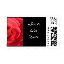The Rose by Kathryn Trembach Photography postage by perogies The Rose by Kathryn Trembach Photography postage