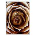 The Rose cards