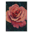 The Rose cards