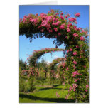 The Rose Garden Card The Rose Garden Card