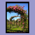The Rose Garden of Elizabeth Park Poster posters