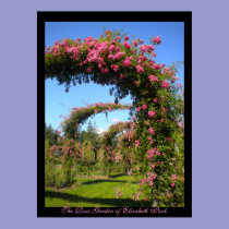 The Rose Garden of Elizabeth Park Poster posters