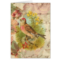 The Rose Linnet cards