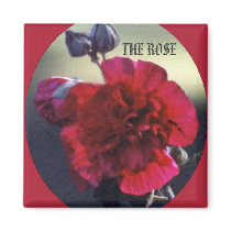 THE ROSE magnets
