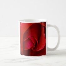 The Rose Of Barra mugs
