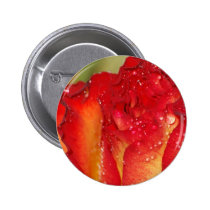 The Rose buttons