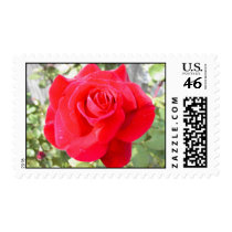 The Rose postage by prizestealer The Rose postage