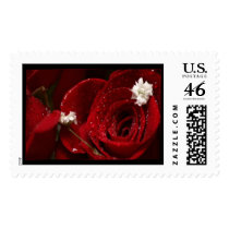 The Rose Stamp