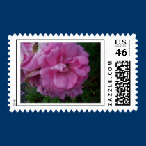 The Rose postage