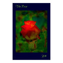 The Rose posters by pahrkm The Rose posters