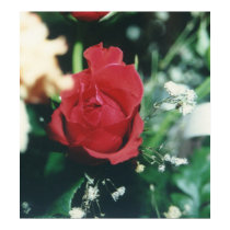 The Rose posters
