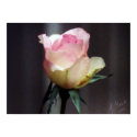 "The Rose" posters by LadyFire_Ice "The Rose" posters