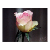 "The Rose" posters by LadyFire_Ice "The Rose" posters