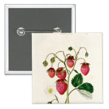The Roseberry Strawberry, engraved by Watte Pinback Button