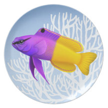 The Royal Gramma Basslet Fish Plate
