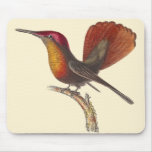 The Ruby Topaz Hummingbird - Rene Primevere Lesson Mousepad