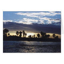 The Rufiji River at Sunset Cards