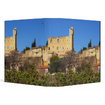 The ruins of the Pope's summer castle in Binders