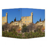 The ruins of the Pope's summer castle in binders