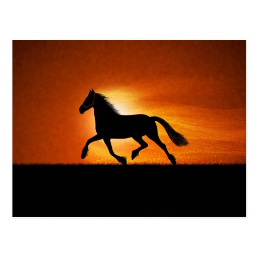 The Running Horse Post Card