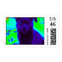 The Russian Blue Postage Stamp