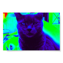 The Russian Blue posters by twinapollo The Russian Blue posters