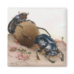 THE SACRED BEETLE 2 magnets