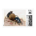 THE SACRED BEETLE 2 STAMP
