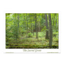 The Sacred Grove posters