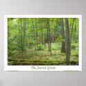 The Sacred Grove posters