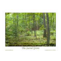 The Sacred Grove posters