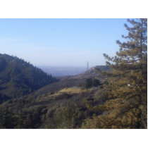 The San Bernardino Mountains photo sculptures