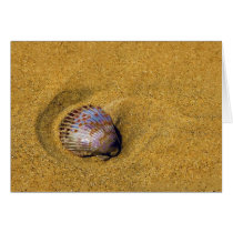 The Sand is my Home cards by SophiaDeer The Sand is my Home cards
