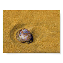 The Sand is my Home posters