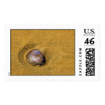The Sand is my Home (Stamps)