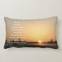 The Scent of Sunshine Pillows