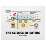 The Science Of Eating (Endocytosis Biology Humor) Letterhead